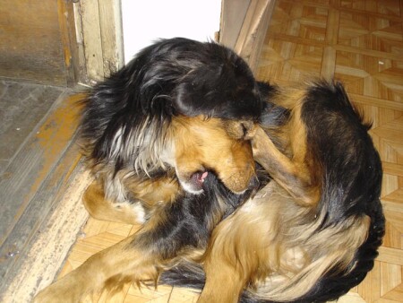 Хех.... поймал!