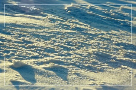 горное макро