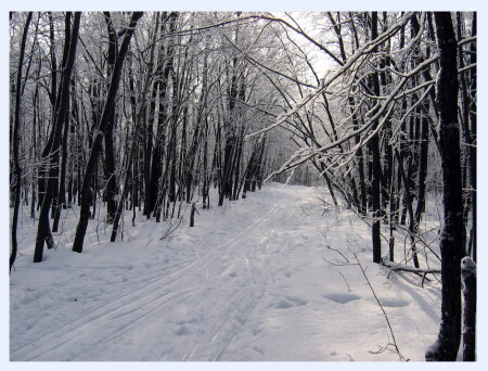 зимние зарисовки