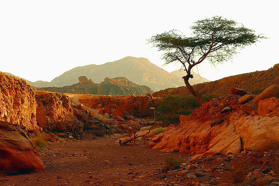 ISRAEL NATIONAL TRAIL в Эйлате (22)