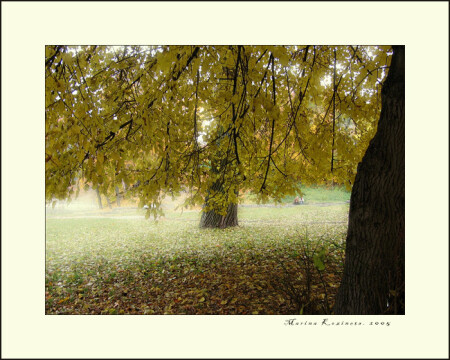 Осень для двоих