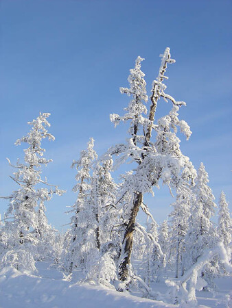 Февраль