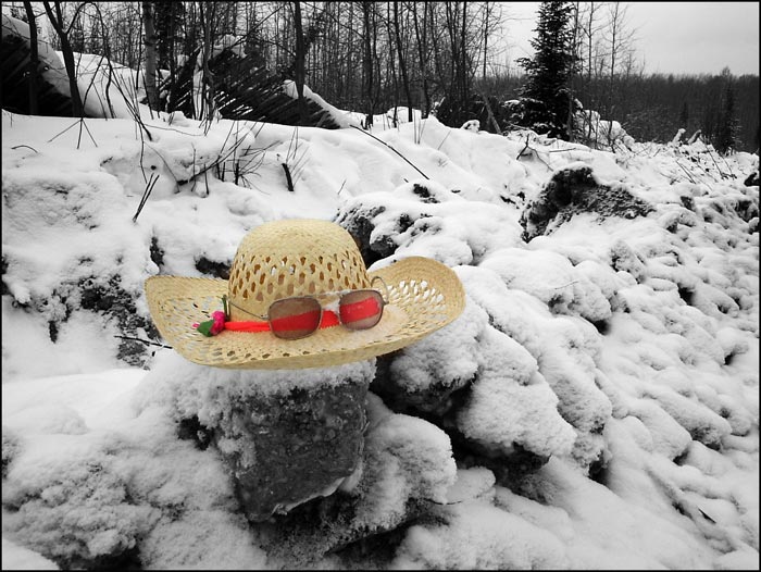 Леди-Бомж