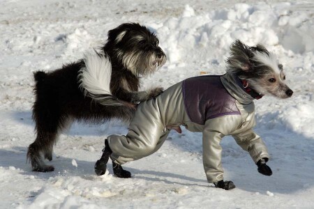 Подвинься, тормоз...