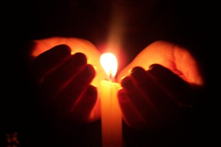 Save the Warmth