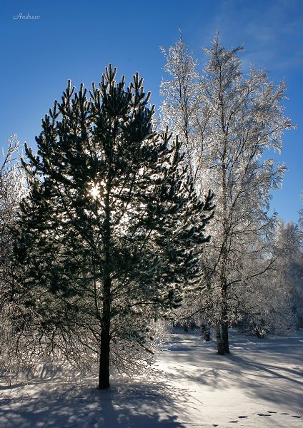Свет и тень.