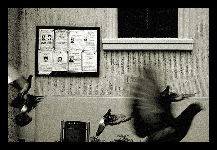 Lost Souls
