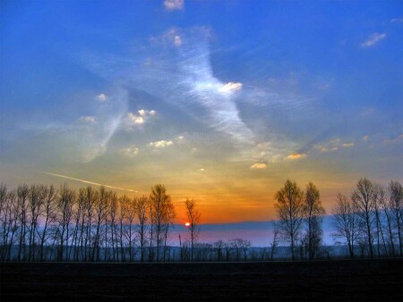 Долгожданное утро