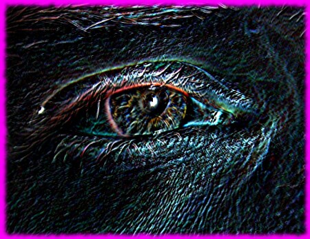NEON EYE
