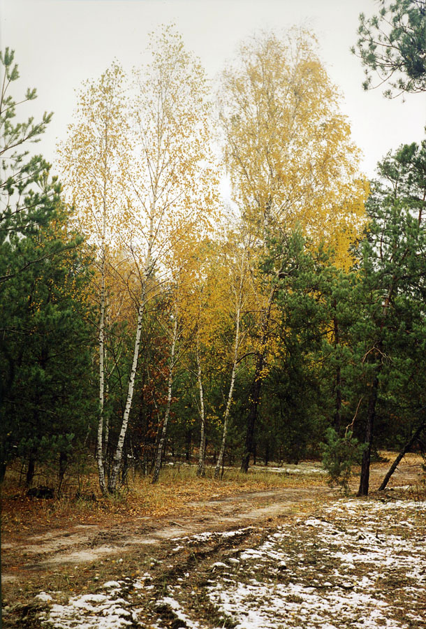 Осень