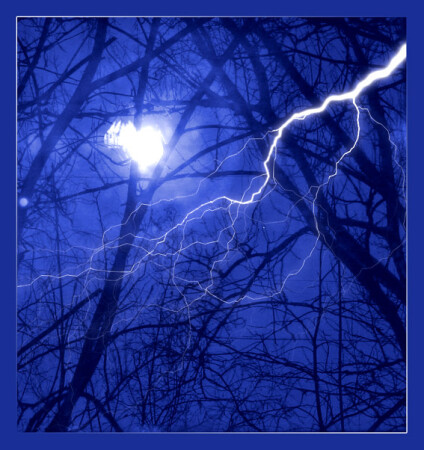 лесная сказка