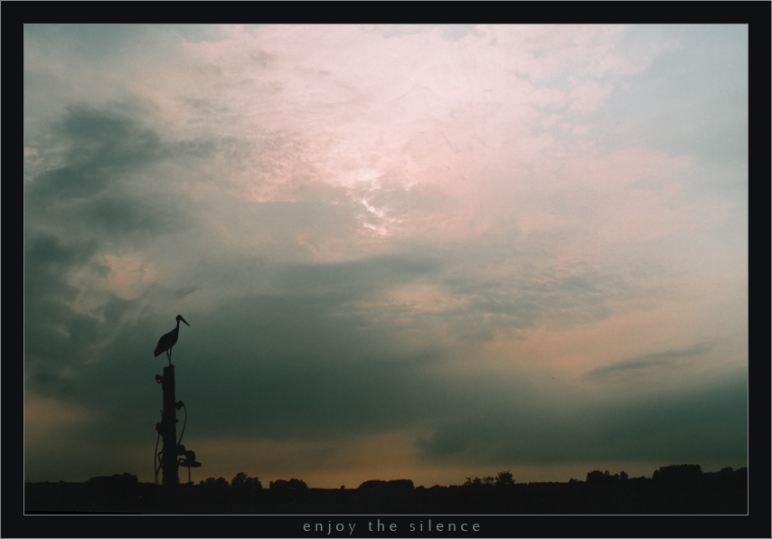 Enjoy the Silence