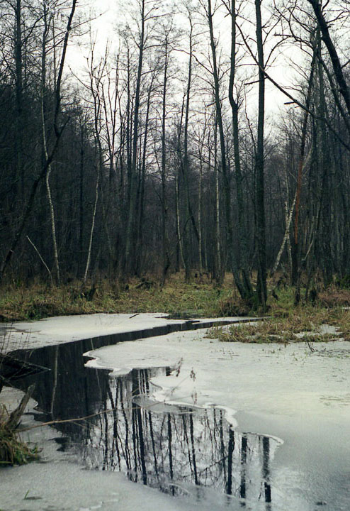 Весна