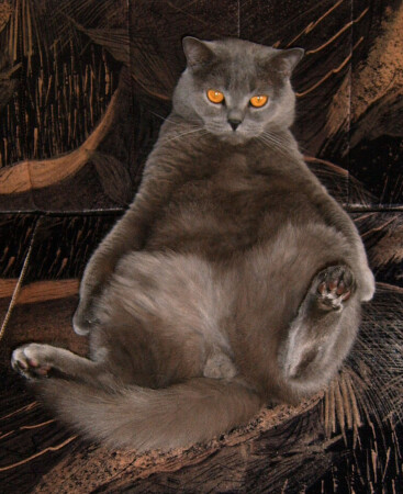 Таити , Таити нас и здесь не плохо кормят