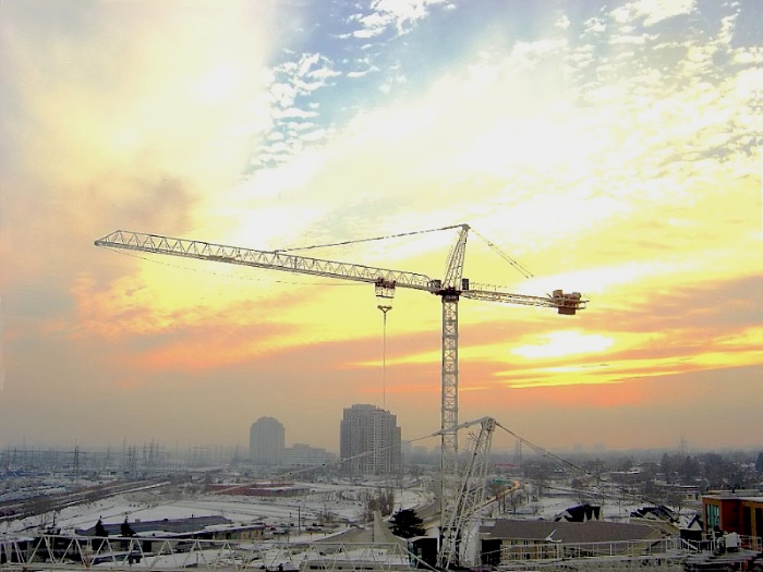 How did you feel when you came out to wilderness? -- I felt like a crane!