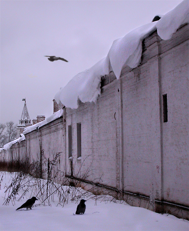 ХМУРОЕ УТРО