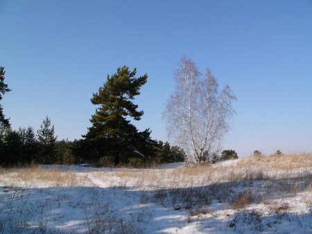Красавица и чудовище