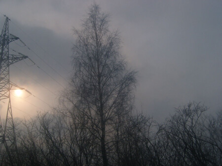 Зимний день 