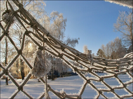 Сеть