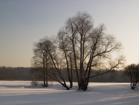 Зимний пейзаж