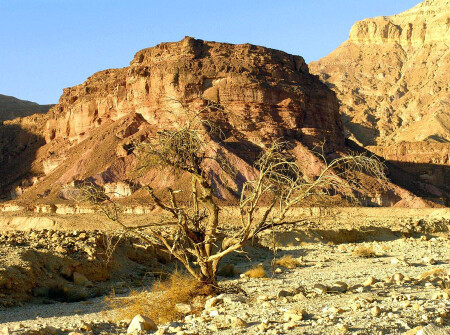 ISRAEL NATIONAL TRAIL в Эйлате (25)
