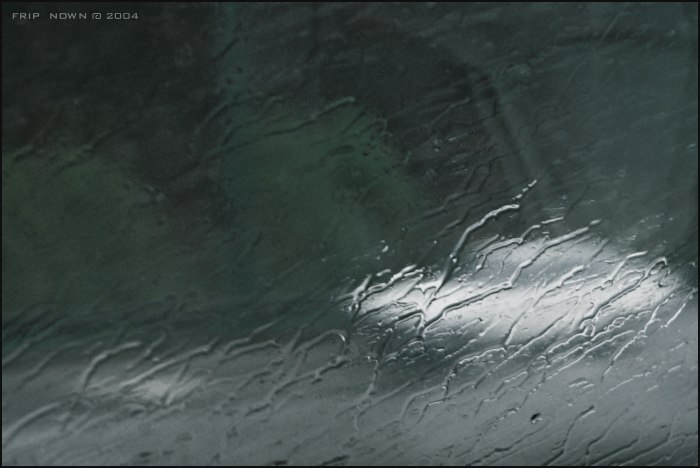Rainy view