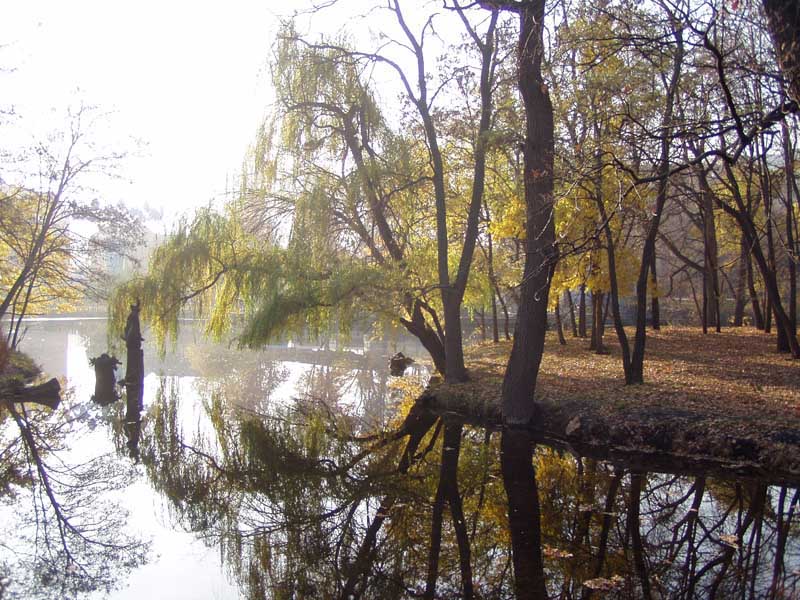 Осенняя