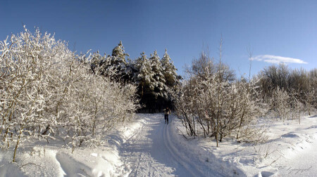 Зимние прогулки