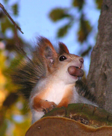 Большому куску рот радуется. 