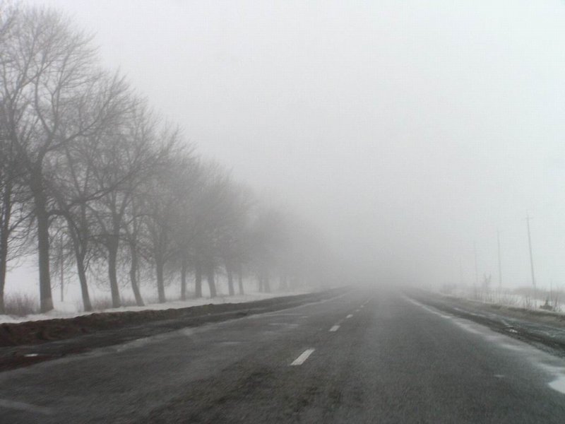 дороги, которые мы выбираем
