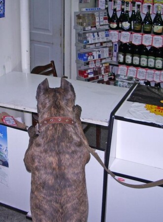 пивная! ещё парочку!