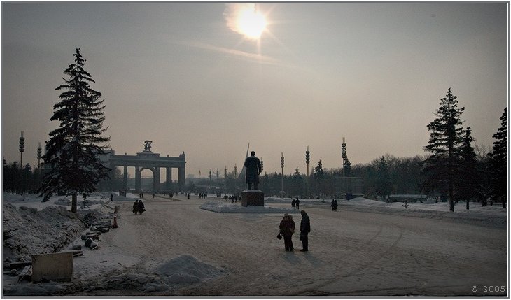 Вышло солнышко