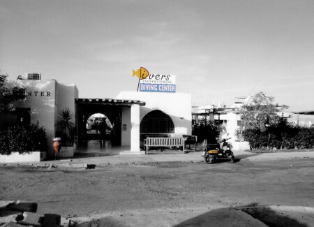 divers international