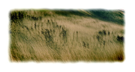autamn pic: impression