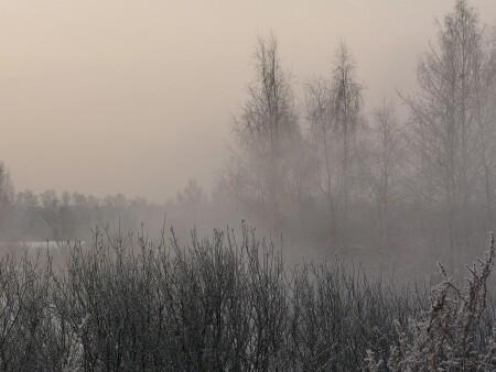 Под затуманенною дымкой