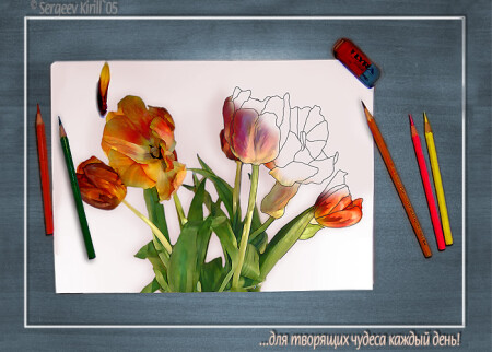 Для творящих чудеса каждый день (поздравление с восьмым марта) :)