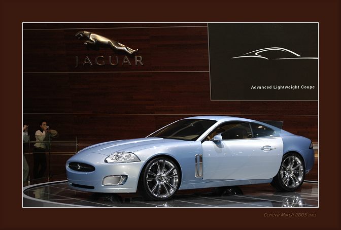 Simply the Jag
