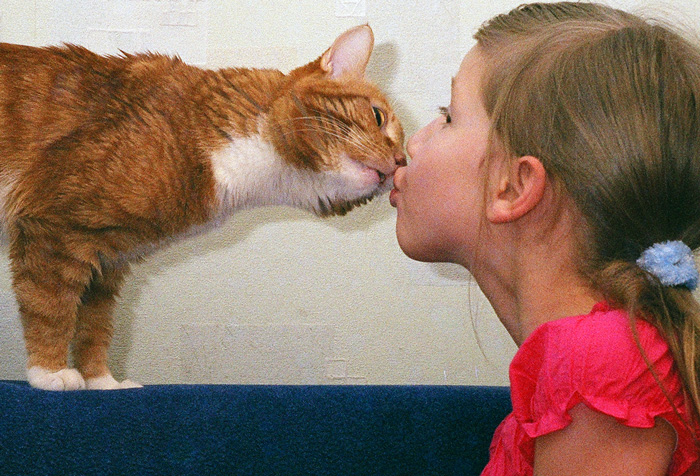 &quot;Kiss&quot;