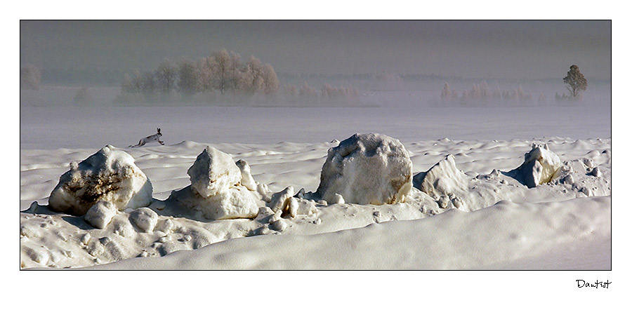 Попутчик