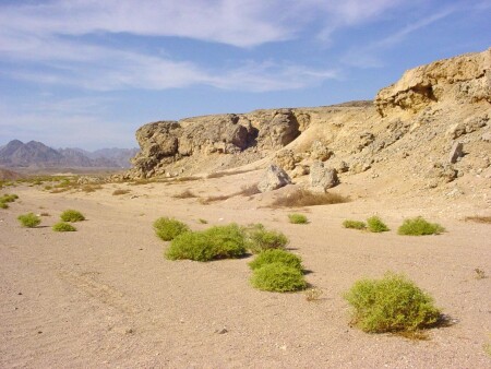 Заповедник Рас Мохаммед, Египет