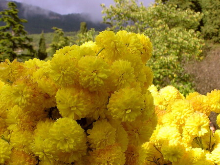 воспоминания...