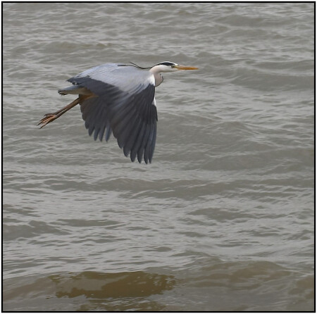 Над Северным морем