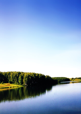 Silence