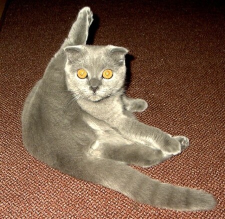 Хочу в балет.