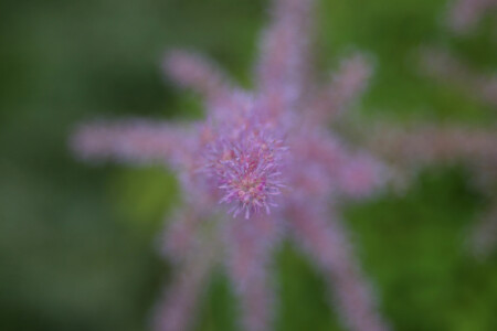 Пролетая над ...