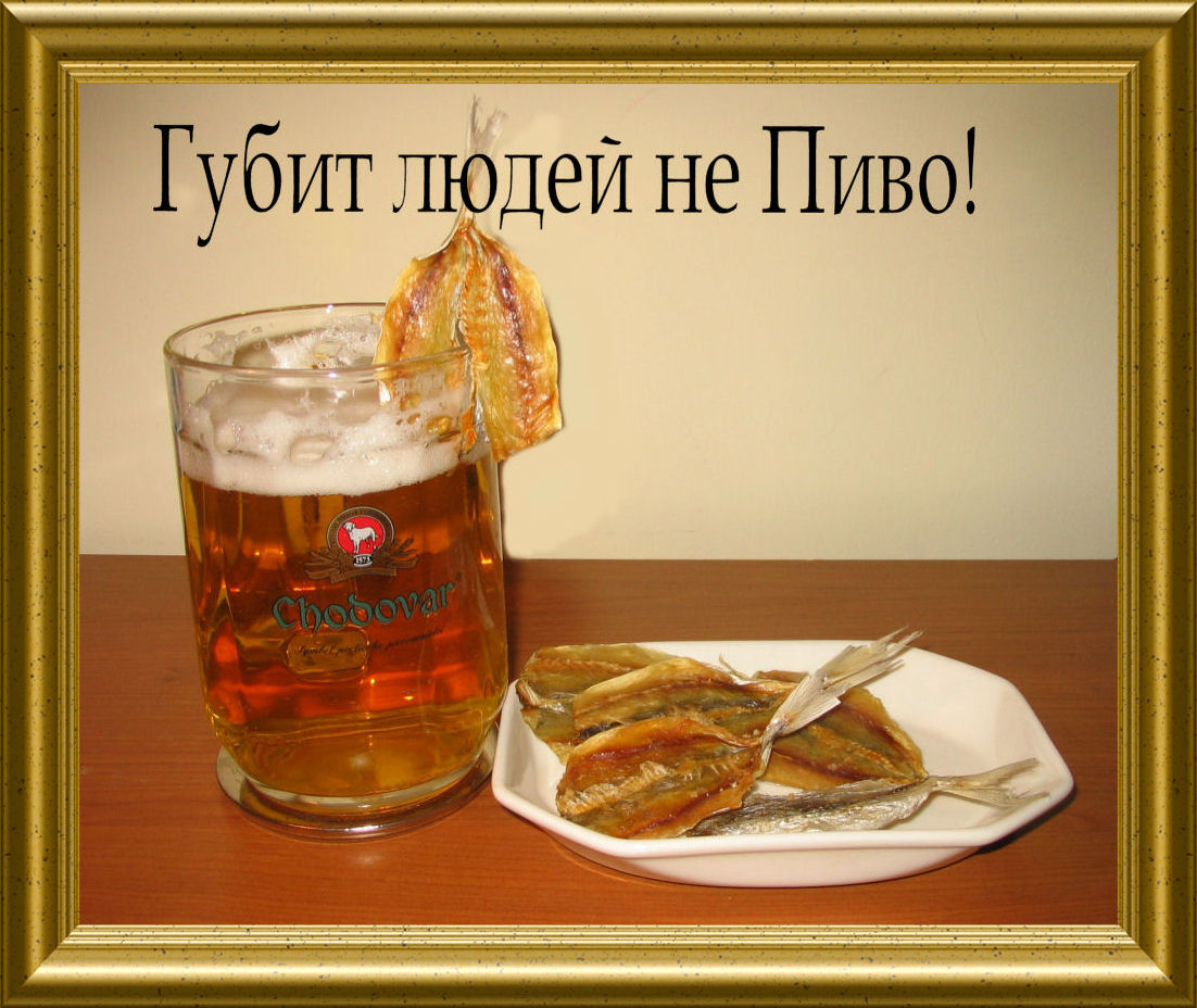 Губит людей не пиво!