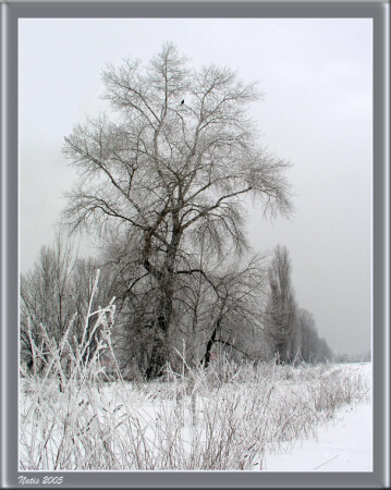 "Краски" зимы