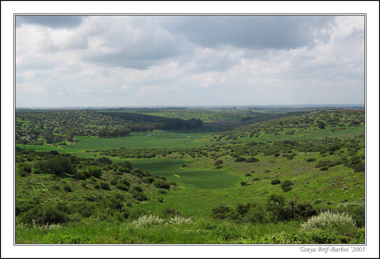 Beit Gurvin - Maresha 
