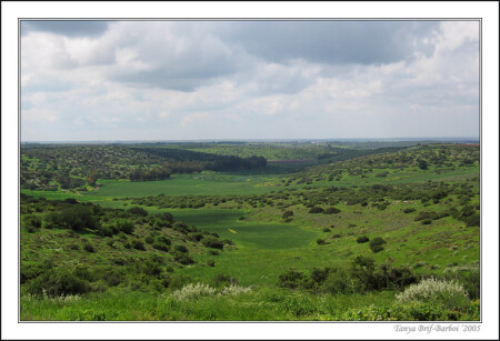 Beit Gurvin - Maresha