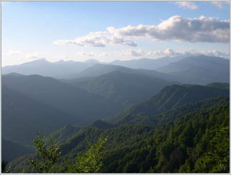 размеренный кавказ